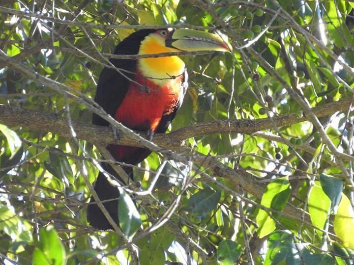 Chale Recanto Do Sossego Гонсалвис Экстерьер фото